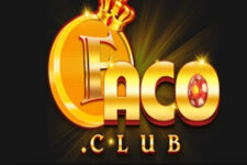 Faco Club - Thiên đường game cá cược được người chơi chọn lựa nhiều nhất